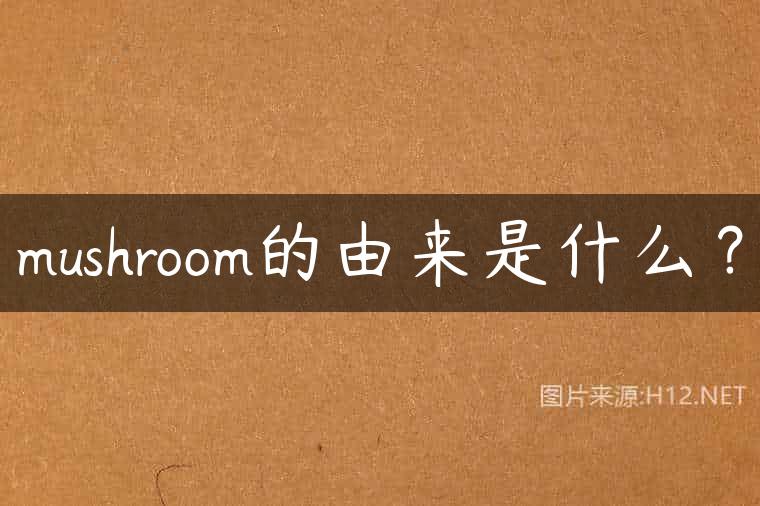mushroom的由来是什么？