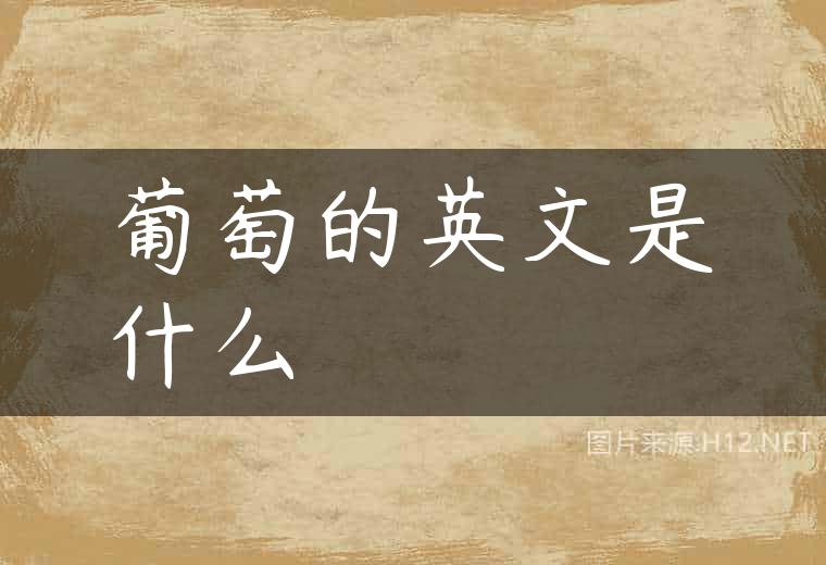 葡萄的英文是什么