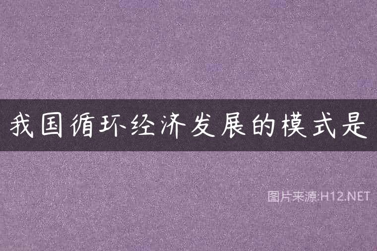 我国循环经济发展的模式是