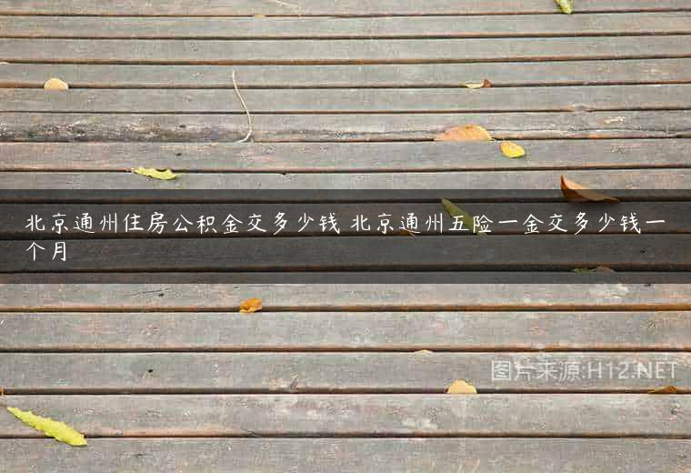 北京通州住房公积金交多少钱 北京通州五险一金交多少钱一个月