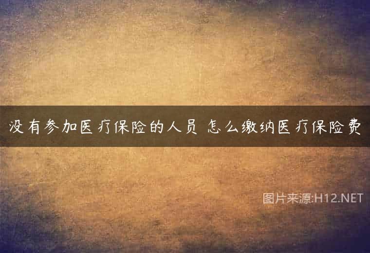 没有参加医疗保险的人员 怎么缴纳医疗保险费