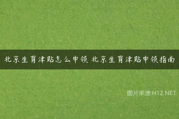 北京生育津贴怎么申领 北京生育津贴申领指南