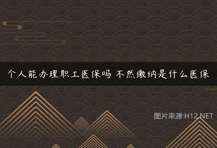 个人能办理职工医保吗 不然缴纳是什么医保