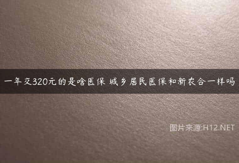 一年交320元的是啥医保 城乡居民医保和新农合一样吗