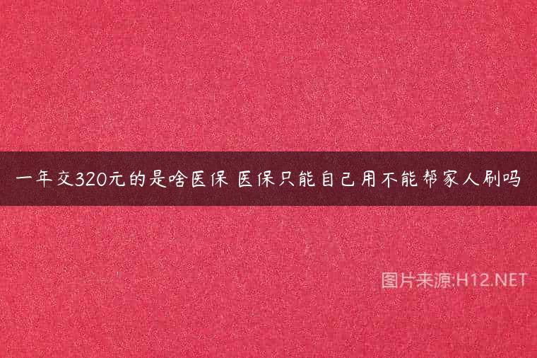 一年交320元的是啥医保 医保只能自己用不能帮家人刷吗