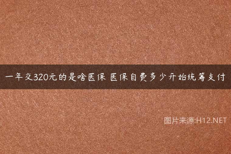 一年交320元的是啥医保 医保自费多少开始统筹支付