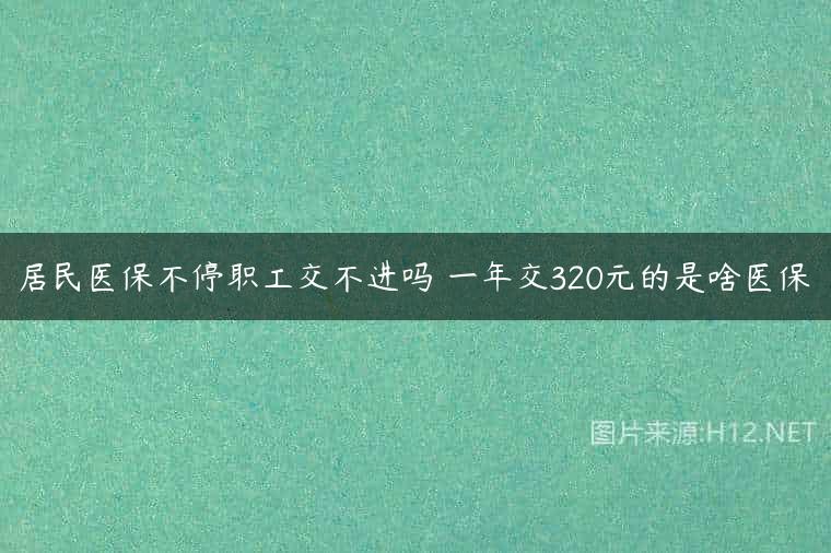 居民医保不停职工交不进吗 一年交320元的是啥医保