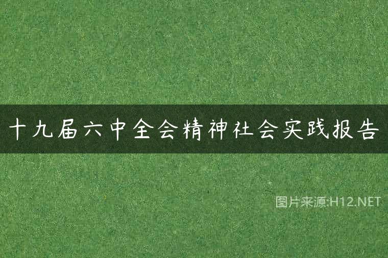 十九届六中全会精神社会实践报告