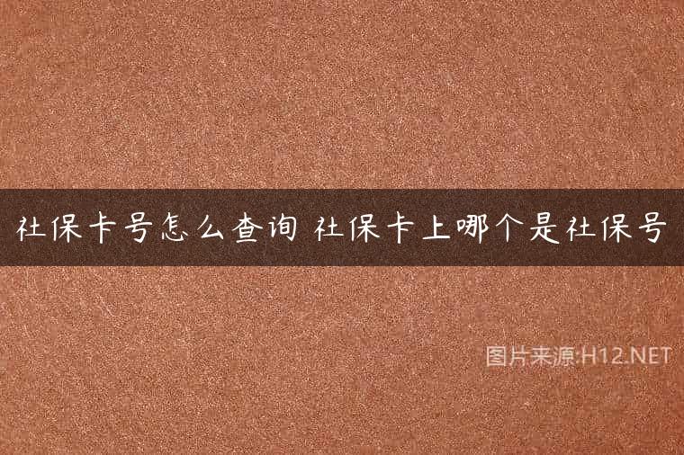 社保卡号怎么查询 社保卡上哪个是社保号