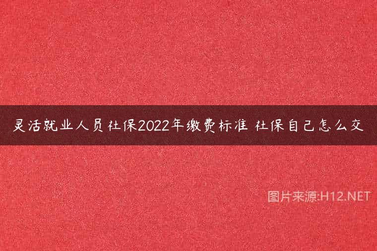 灵活就业人员社保2022年缴费标准 社保自己怎么交