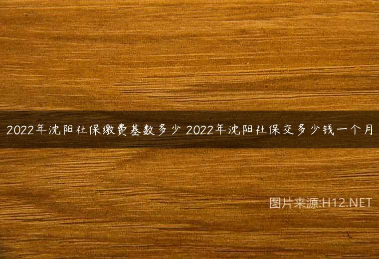 2022年沈阳社保缴费基数多少 2022年沈阳社保交多少钱一个月