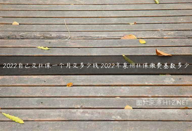 2022自己交社保一个月交多少钱 2022年泉州社保缴费基数多少