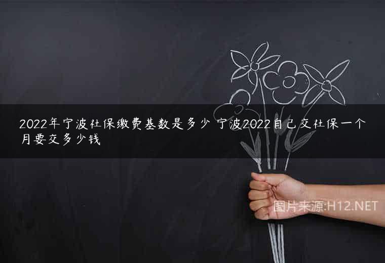 2022年宁波社保缴费基数是多少 宁波2022自己交社保一个月要交多少钱