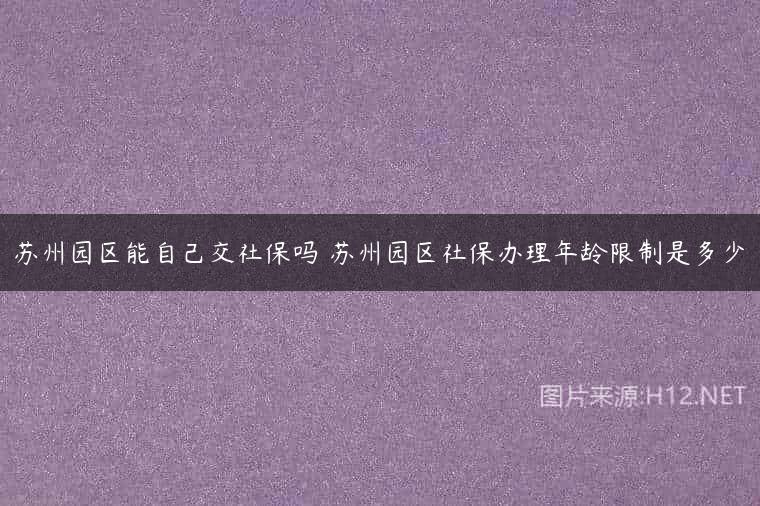 苏州园区能自己交社保吗 苏州园区社保办理年龄限制是多少
