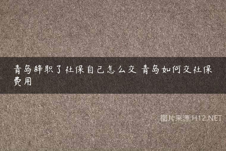 青岛辞职了社保自己怎么交 青岛如何交社保费用