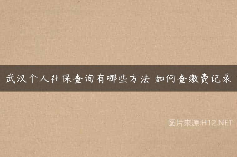 武汉个人社保查询有哪些方法 如何查缴费记录