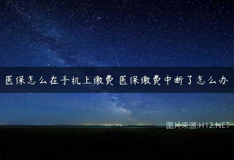 医保怎么在手机上缴费 医保缴费中断了怎么办