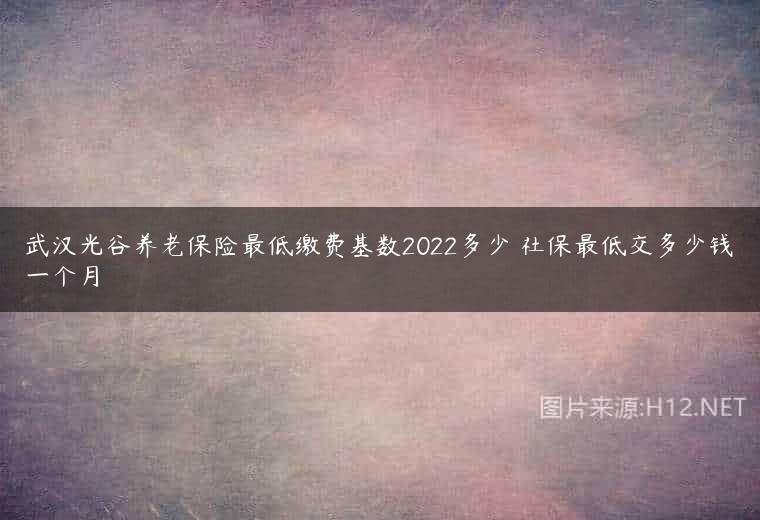 武汉光谷养老保险最低缴费基数2022多少 社保最低交多少钱一个月