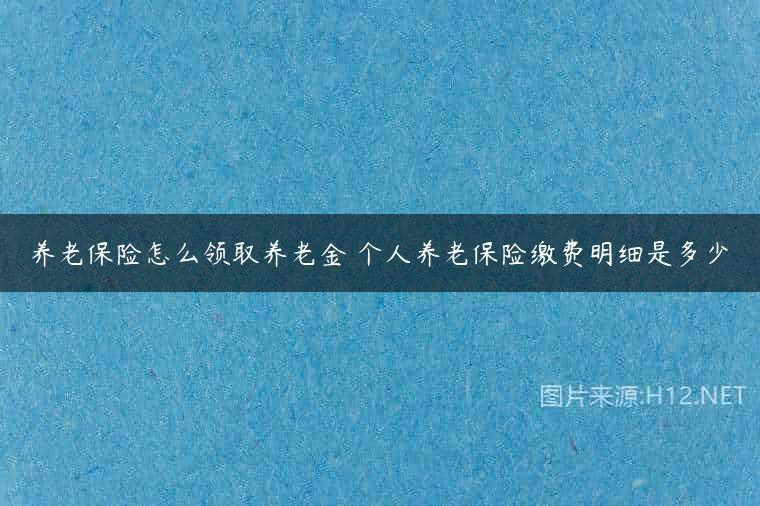 养老保险怎么领取养老金 个人养老保险缴费明细是多少