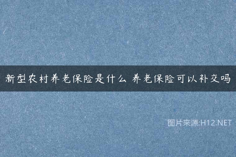 新型农村养老保险是什么 养老保险可以补交吗