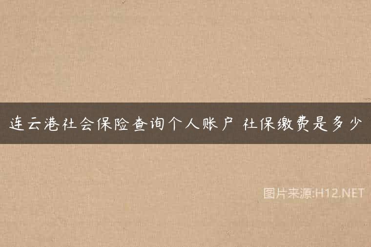 连云港社会保险查询个人账户 社保缴费是多少