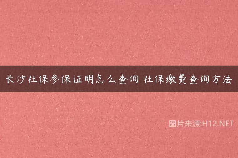 长沙社保参保证明怎么查询 社保缴费查询方法
