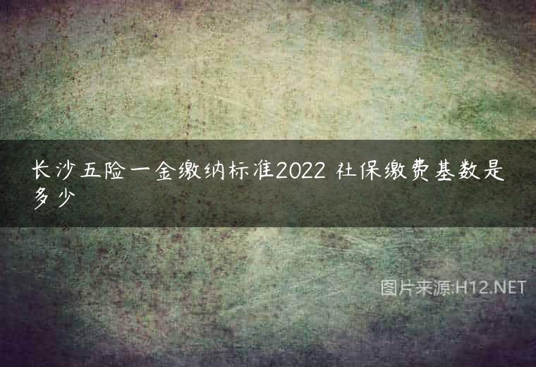 长沙五险一金缴纳标准2022 社保缴费基数是多少