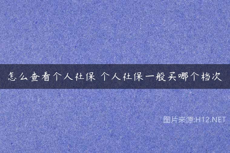怎么查看个人社保 个人社保一般买哪个档次