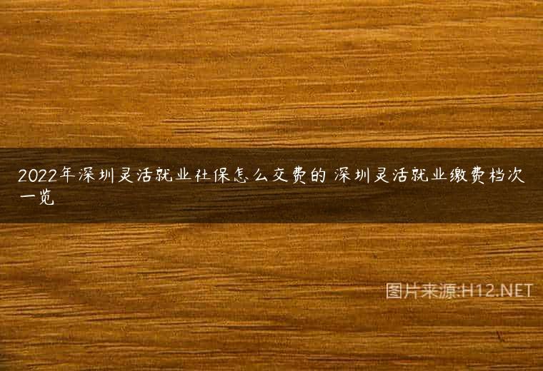 2022年深圳灵活就业社保怎么交费的 深圳灵活就业缴费档次一览