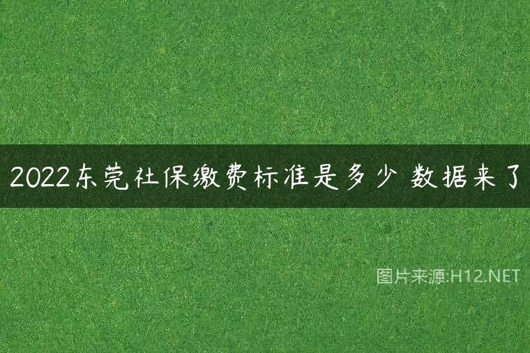 2022东莞社保缴费标准是多少 数据来了