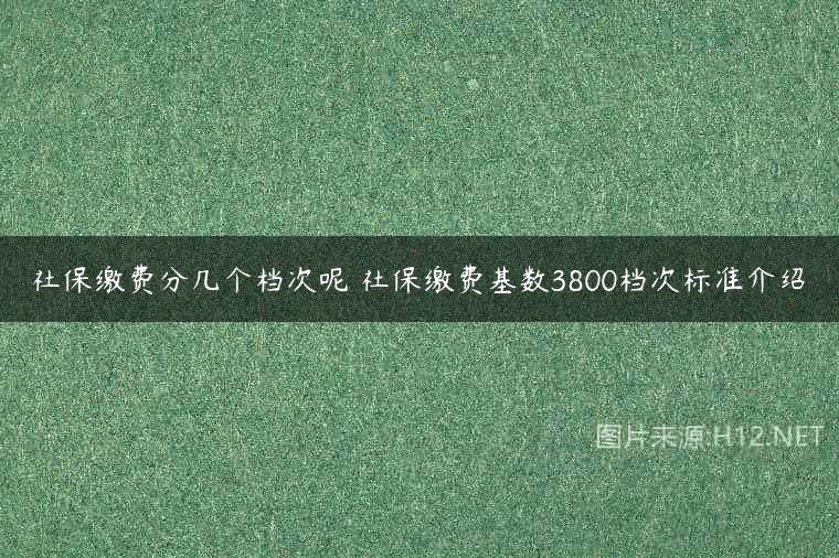 社保缴费分几个档次呢 社保缴费基数3800档次标准介绍