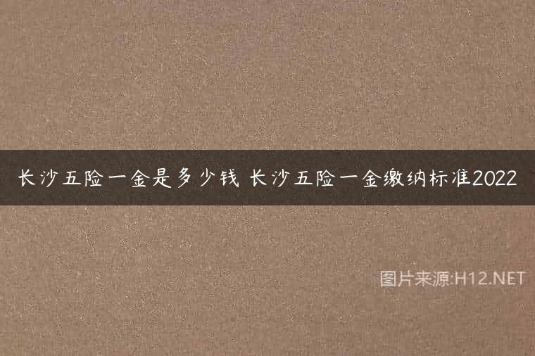 长沙五险一金是多少钱 长沙五险一金缴纳标准2022