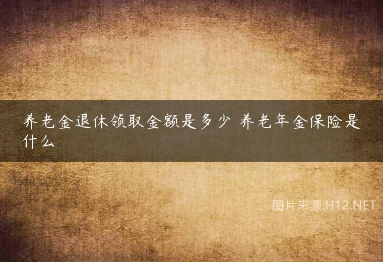 养老金退休领取金额是多少 养老年金保险是什么