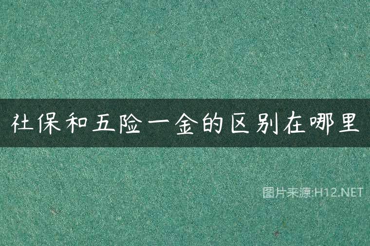 社保和五险一金的区别在哪里