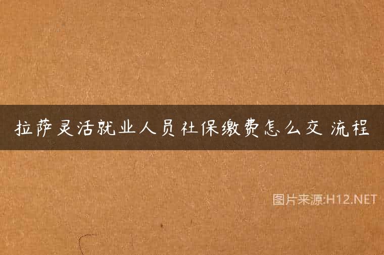 拉萨灵活就业人员社保缴费怎么交 流程