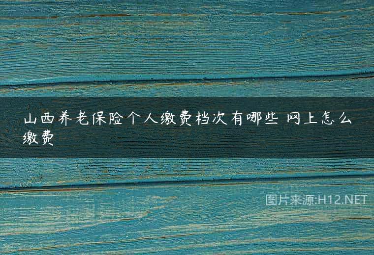 山西养老保险个人缴费档次有哪些 网上怎么缴费
