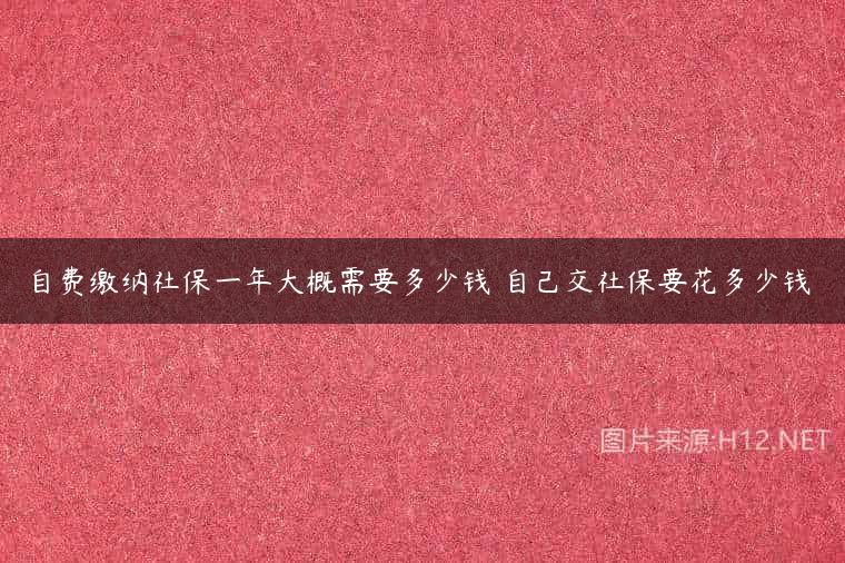 自费缴纳社保一年大概需要多少钱 自己交社保要花多少钱