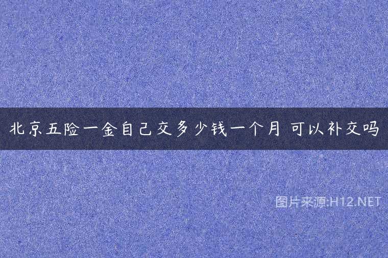北京五险一金自己交多少钱一个月 可以补交吗