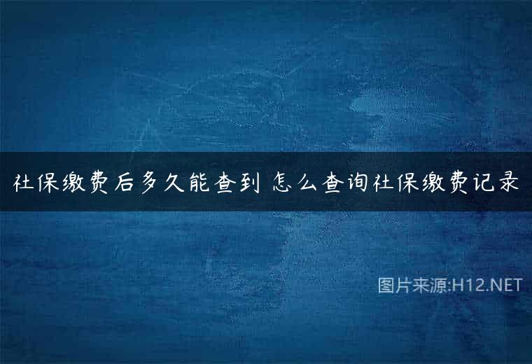 社保缴费后多久能查到 怎么查询社保缴费记录