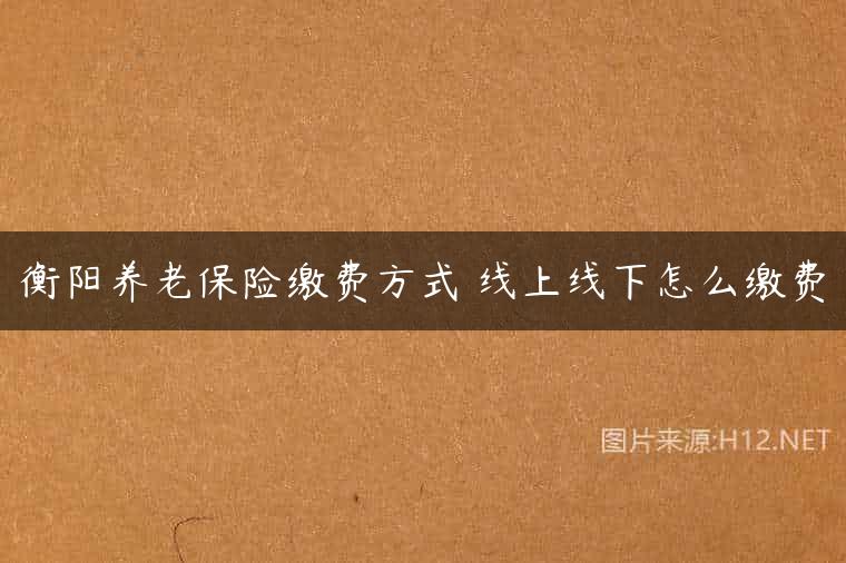 衡阳养老保险缴费方式 线上线下怎么缴费