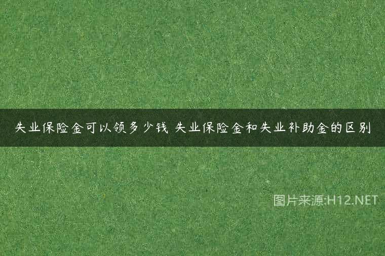 失业保险金可以领多少钱 失业保险金和失业补助金的区别