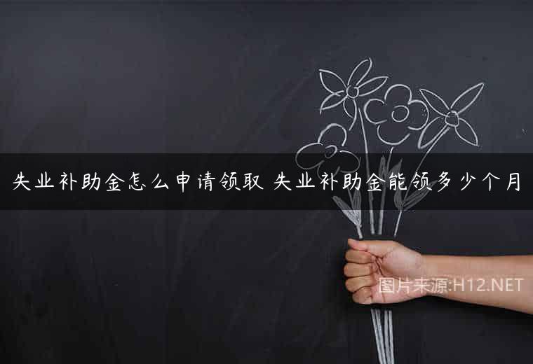 失业补助金怎么申请领取 失业补助金能领多少个月