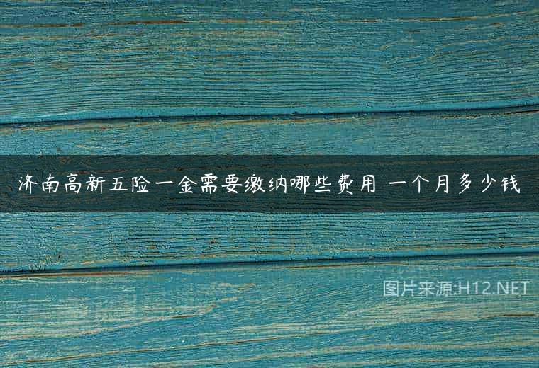 济南高新五险一金需要缴纳哪些费用 一个月多少钱