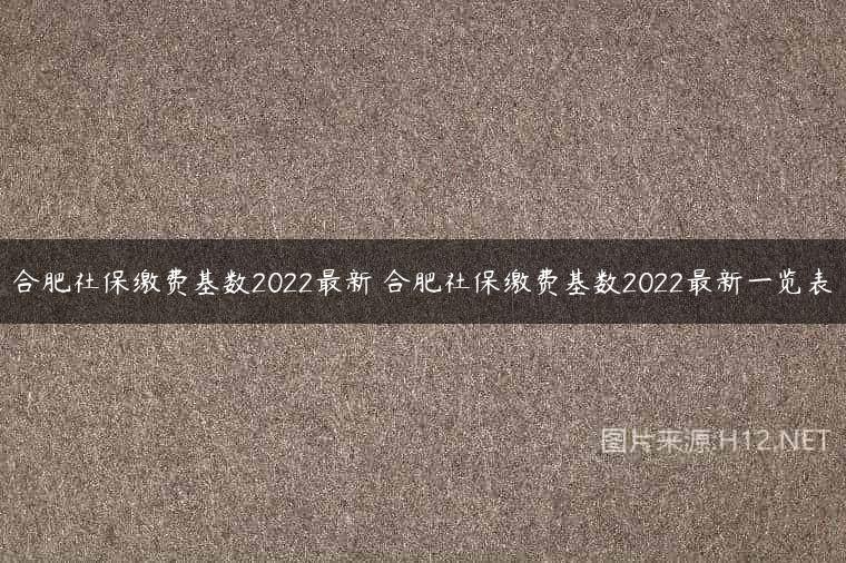 合肥社保缴费基数2022最新 合肥社保缴费基数2022最新一览表