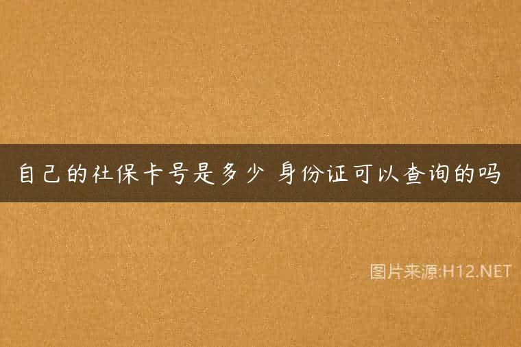 自己的社保卡号是多少 身份证可以查询的吗