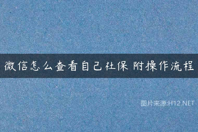 微信怎么查看自己社保 附操作流程