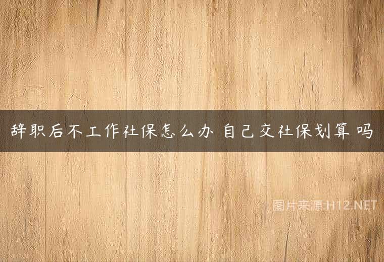 辞职后不工作社保怎么办 自己交社保划算 吗