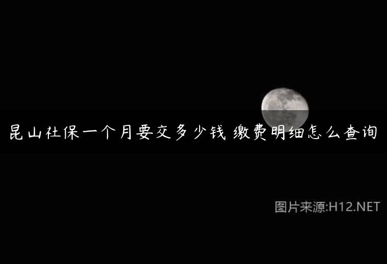 昆山社保一个月要交多少钱 缴费明细怎么查询