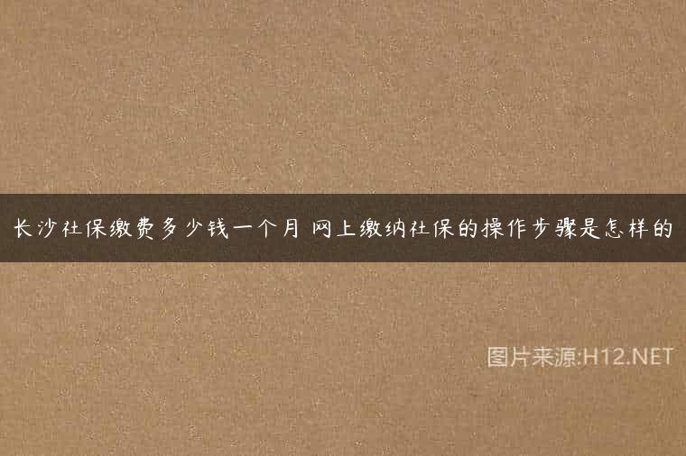 长沙社保缴费多少钱一个月 网上缴纳社保的操作步骤是怎样的