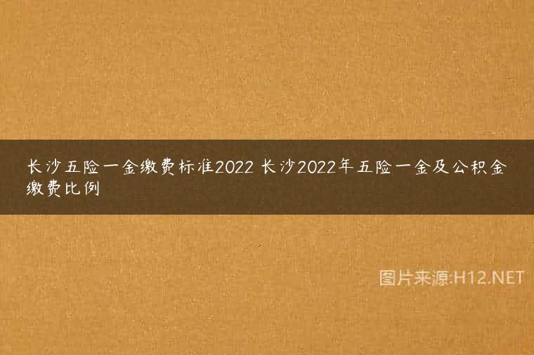 长沙五险一金缴费标准2022 长沙2022年五险一金及公积金缴费比例
